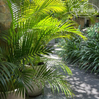 фото из отзыва ID 2745579