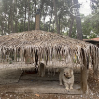 фото из отзыва ID 2745227