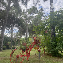 фото из отзыва ID 2745227