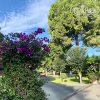 фото из отзыва ID 2745227