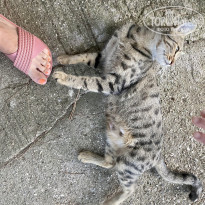 фото из отзыва ID 2745227