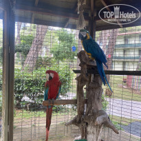 фото из отзыва ID 2745227