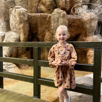 фото из отзыва ID 2745227