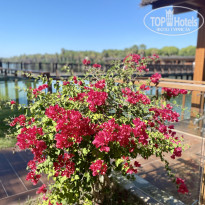 фото из отзыва ID 2745227