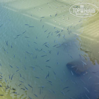 фото из отзыва ID 2745227