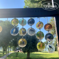 фото из отзыва ID 2745227