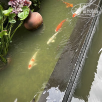 фото из отзыва ID 2745621