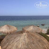 фото из отзыва ID 2745628