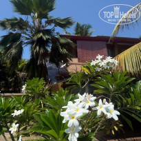 фото из отзыва ID 2745637