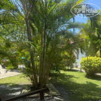 фото из отзыва ID 2745637