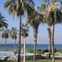 фото из отзыва ID 2745657