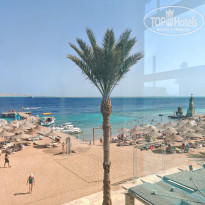 фото из отзыва ID 2745676