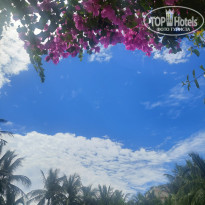 фото из отзыва ID 2745674