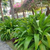 фото из отзыва ID 2745674