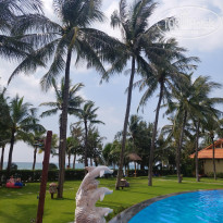 фото из отзыва ID 2745674