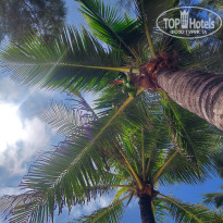 фото из отзыва ID 2745674