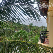 фото из отзыва ID 2745674