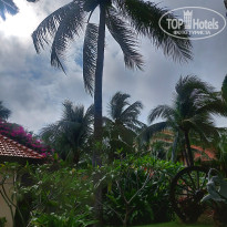 фото из отзыва ID 2745674