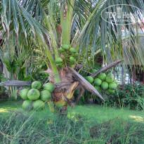 фото из отзыва ID 2745674