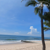 фото из отзыва ID 2745674