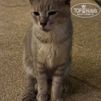 фото из отзыва ID 2745708