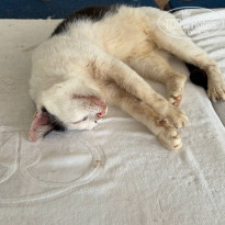 фото из отзыва ID 2745708