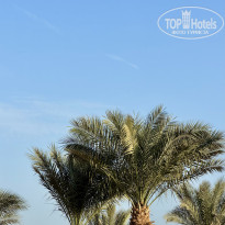 фото из отзыва ID 2745713