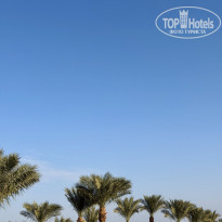 фото из отзыва ID 2745713