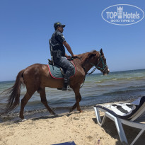 фото из отзыва ID 2745711