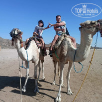 фото из отзыва ID 2745714