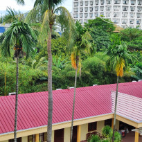 фото из отзыва ID 2745725