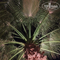 фото из отзыва ID 2745738