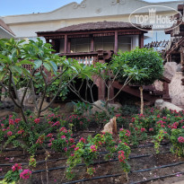 фото из отзыва ID 2745738