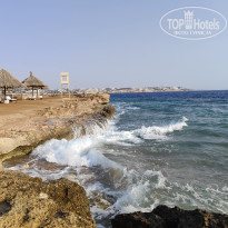 фото из отзыва ID 2745738