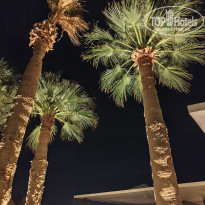 фото из отзыва ID 2745738