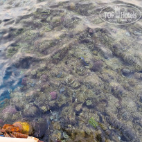 фото из отзыва ID 2745738