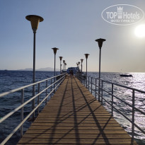 фото из отзыва ID 2745738