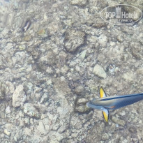 фото из отзыва ID 2745753