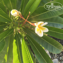 фото из отзыва ID 2745753