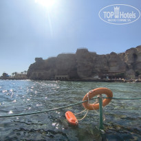 фото из отзыва ID 2745753