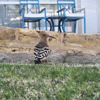 фото из отзыва ID 2745753