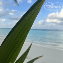 фото из отзыва ID 2745776