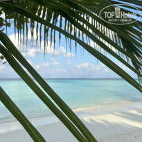 фото из отзыва ID 2745776