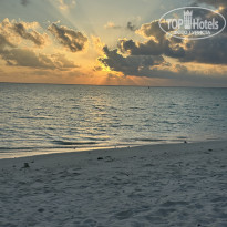 фото из отзыва ID 2745776