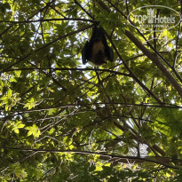 фото из отзыва ID 2745776