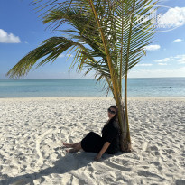 фото из отзыва ID 2745776