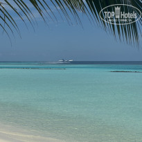 фото из отзыва ID 2745776