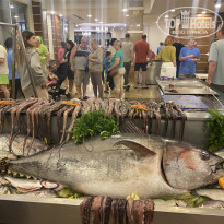 фото из отзыва ID 2745800