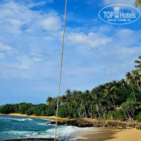 фото из отзыва ID 2745834