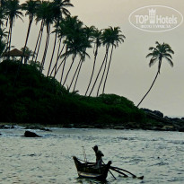 фото из отзыва ID 2745834